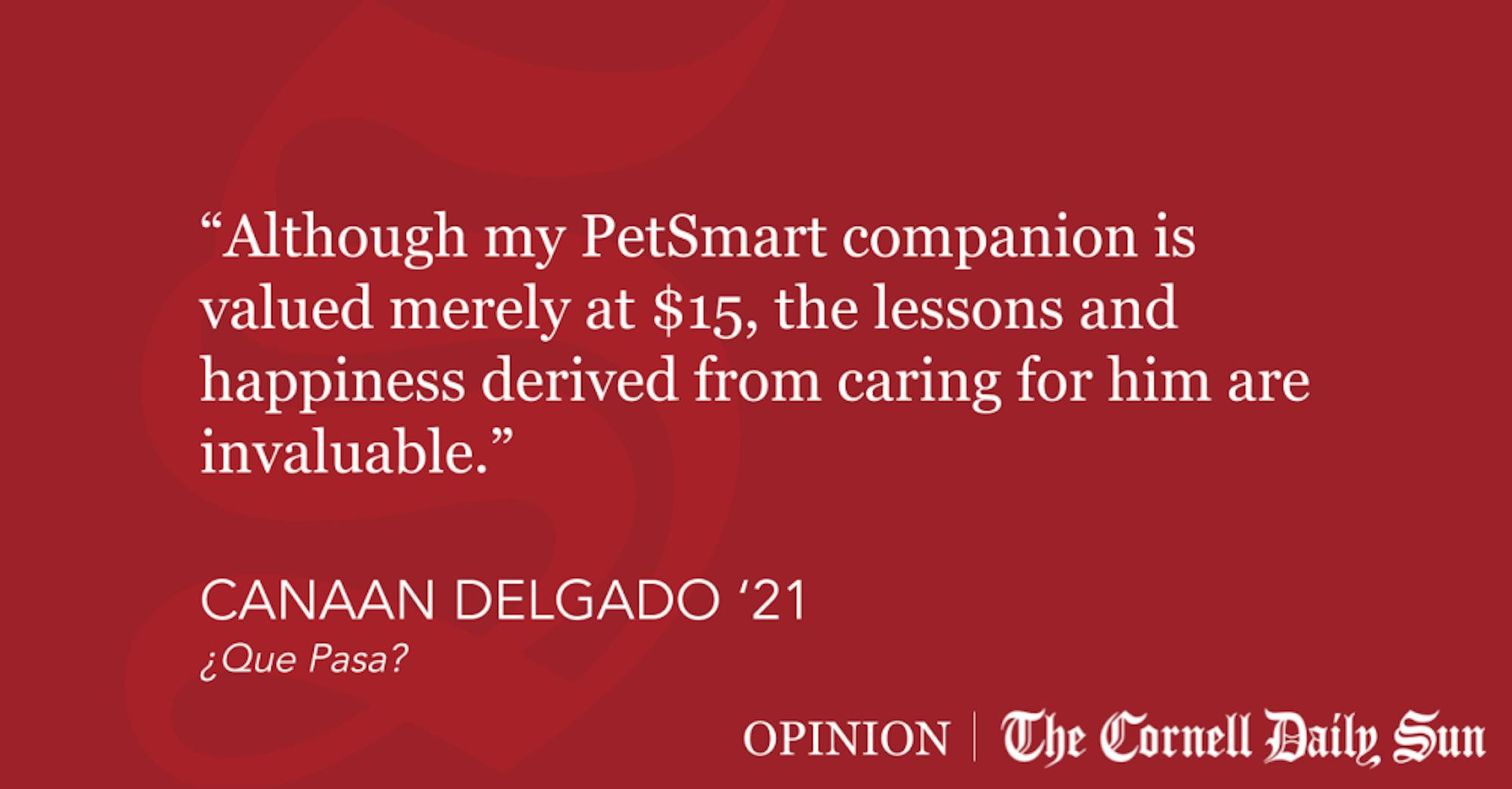 Quote-Block-Templates-6-4