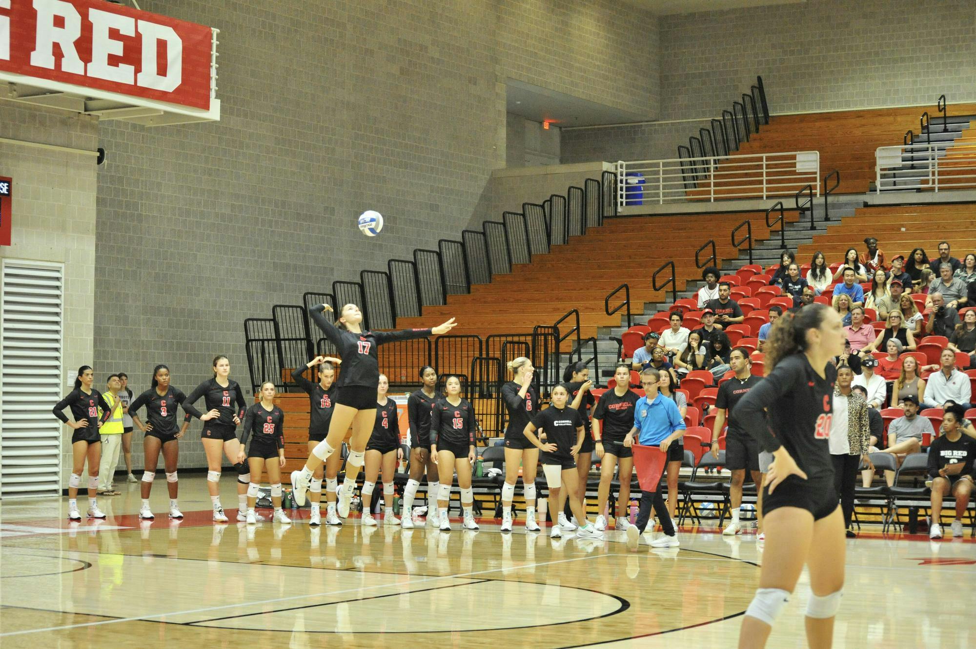volleyball1.JPG