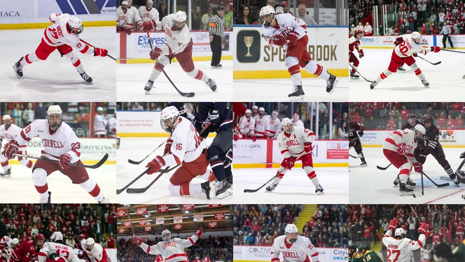 Twelve Men’s Hockey Alumni Adorn NHL Training Camp Rosters