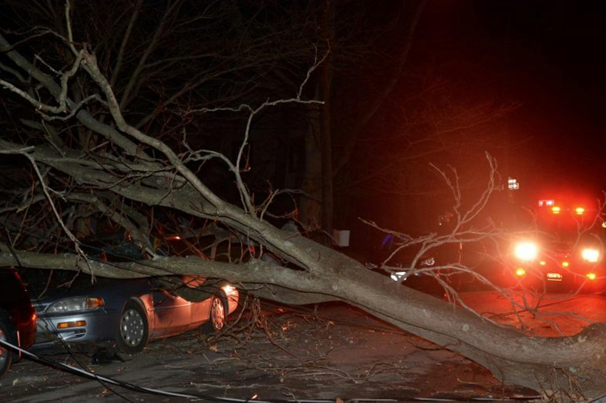 The fallen tree crushed a Camry and scratched an Ithaca College student's car.