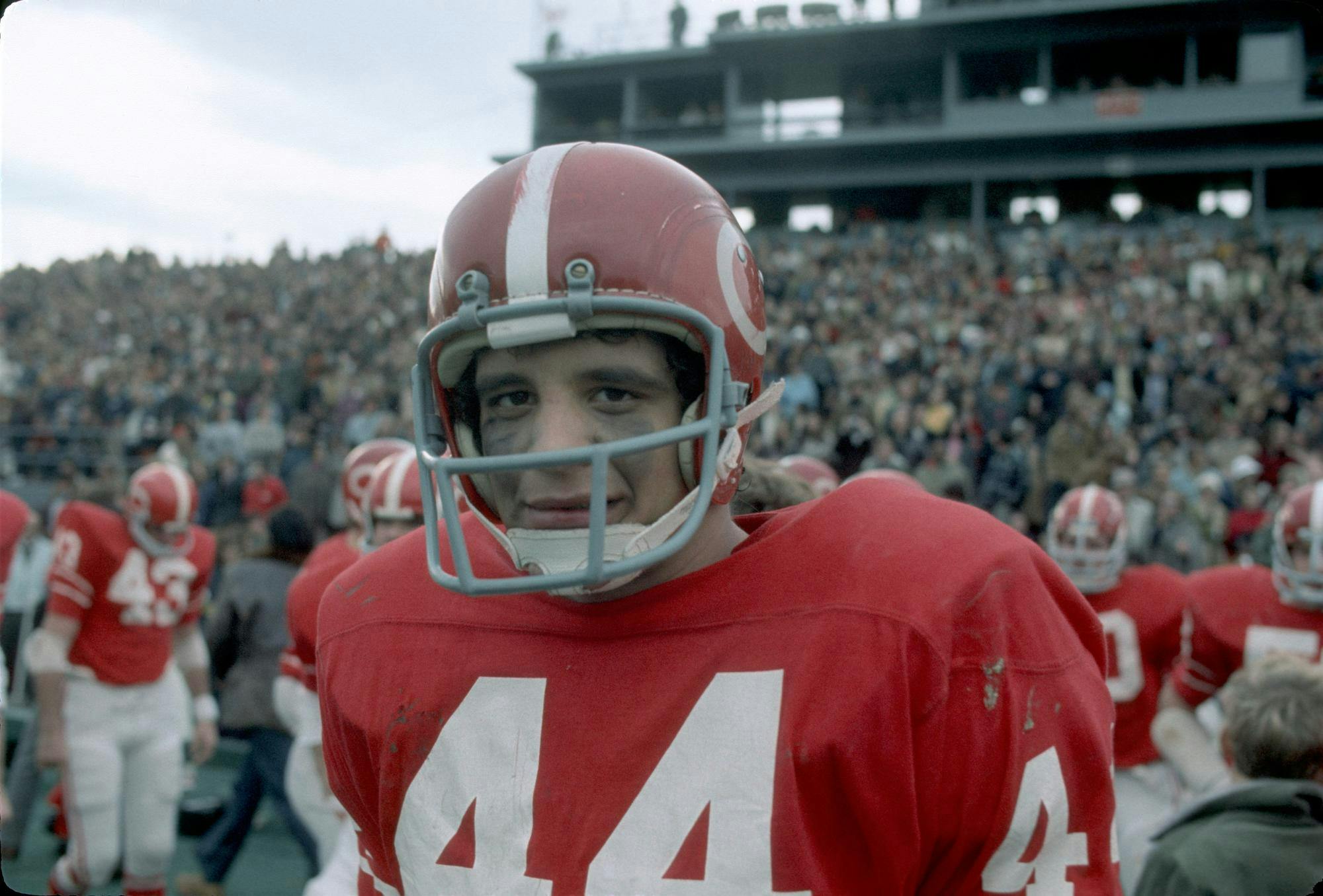 Ed Marinaro2.jpg