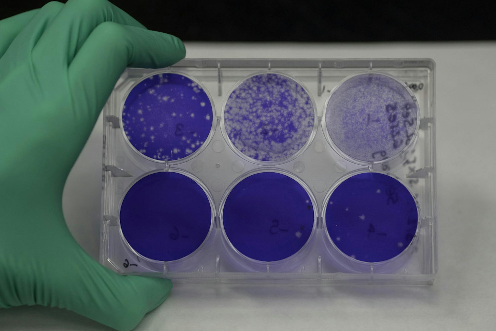 VIRUS-DRUG-RESEARCH-4