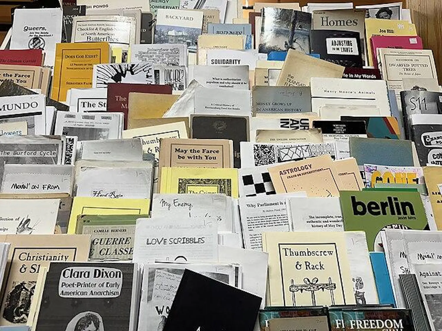 Zines_and_small_publications_at_Autumn_Leaves_used_bookstore_in_Ithica,_NY.jpg
