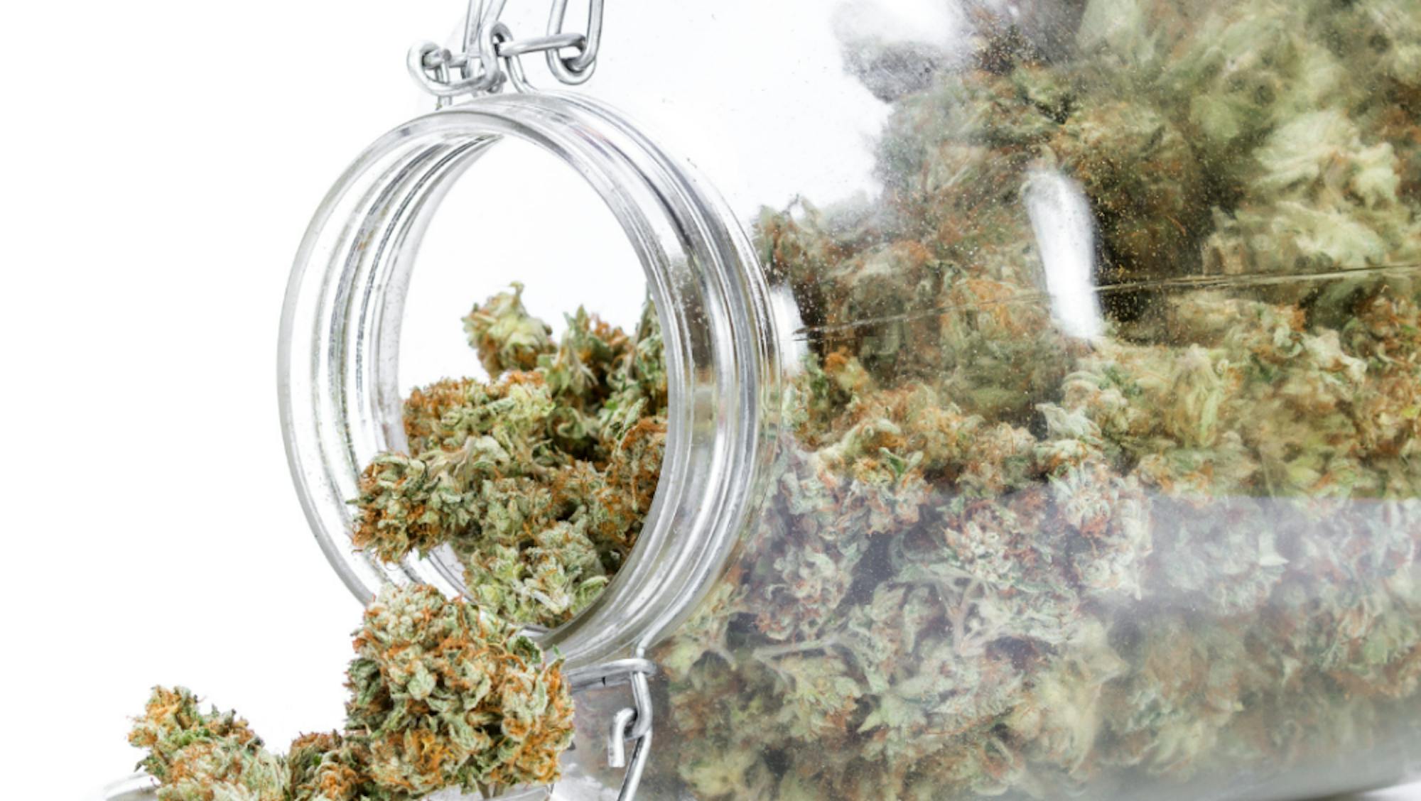 9dffab_9db60272459b4119bd4a76ed958b0307_mv2