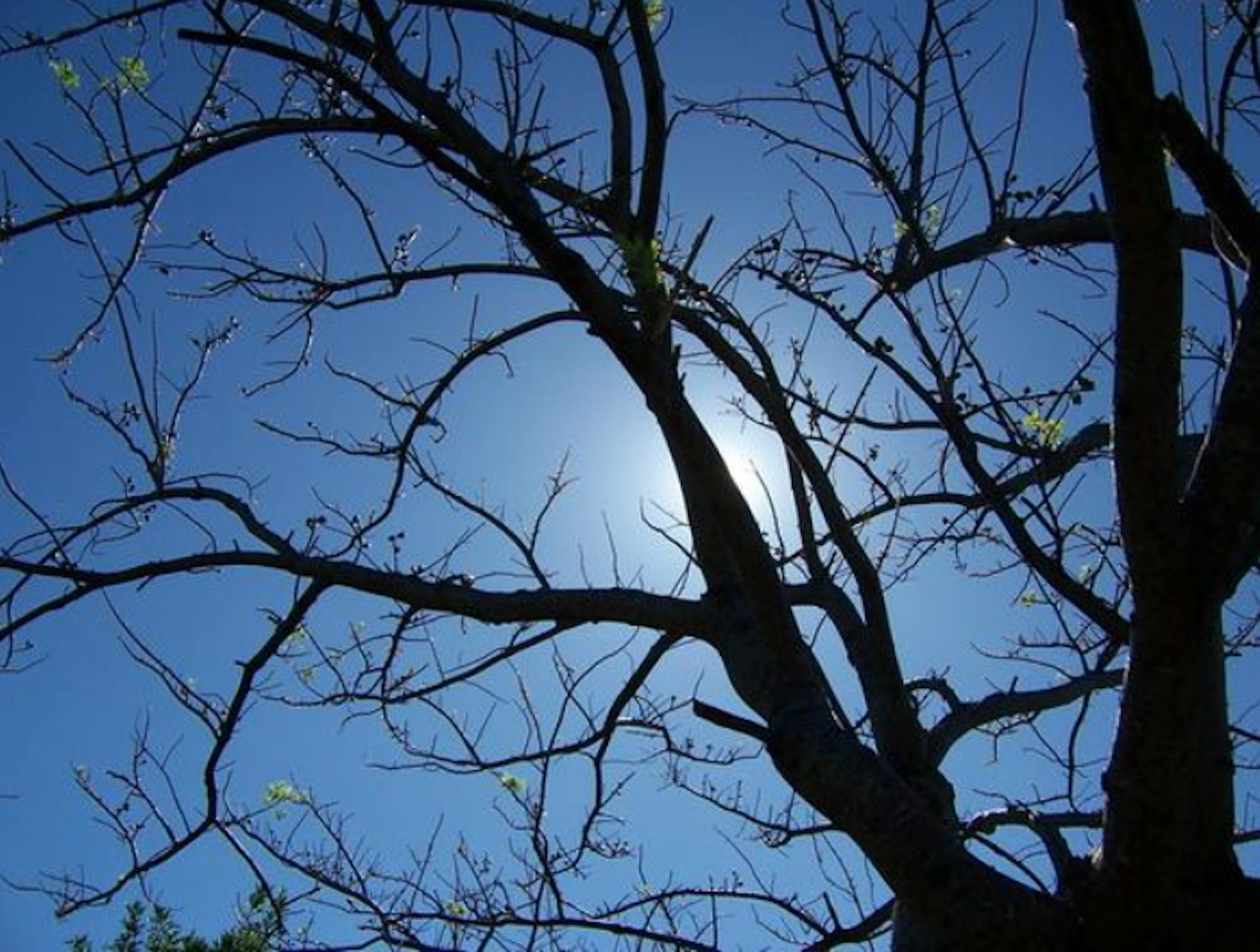 Screen-Shot-2016-03-21-at-2.12.01-PM