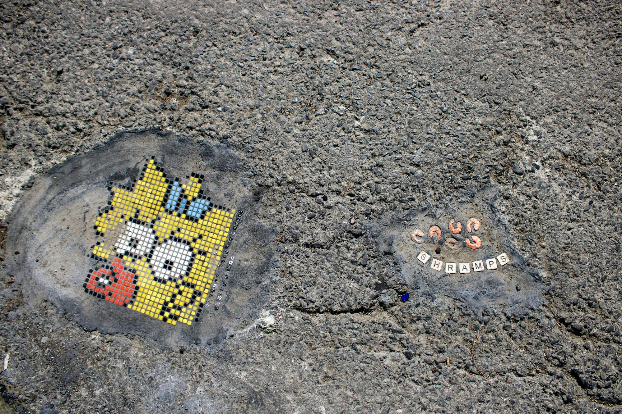 Buffalo Pothole Bandit 4.jpg