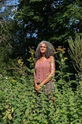 66bcfd9456107.image_