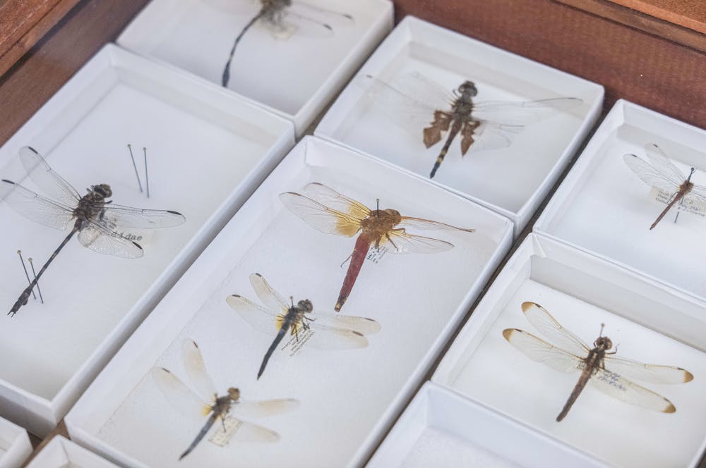 Screen-Shot-2023-11-15-at-5.53.17-PM