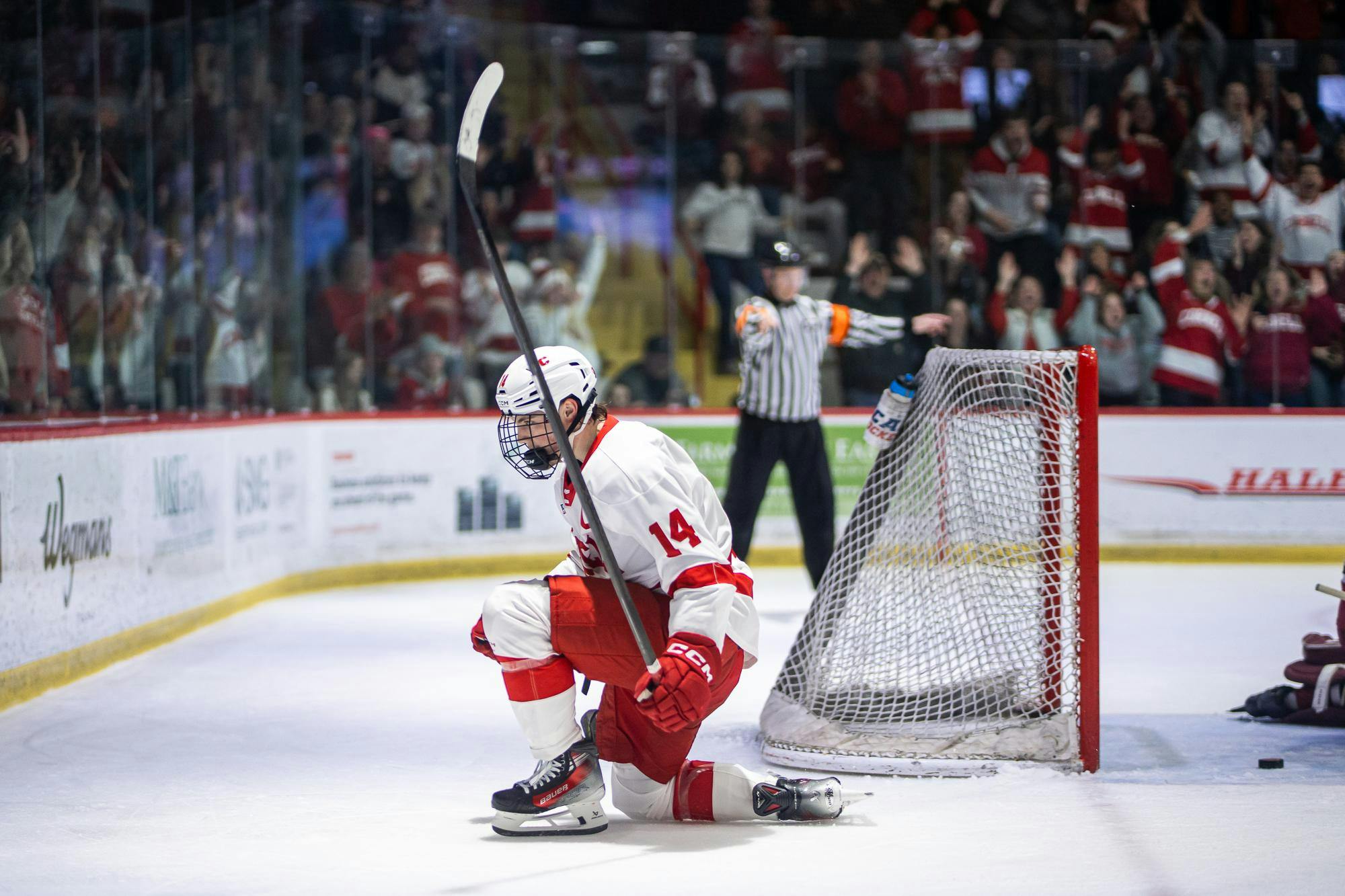 ECAC quarters v Harvard day 3-8.jpg