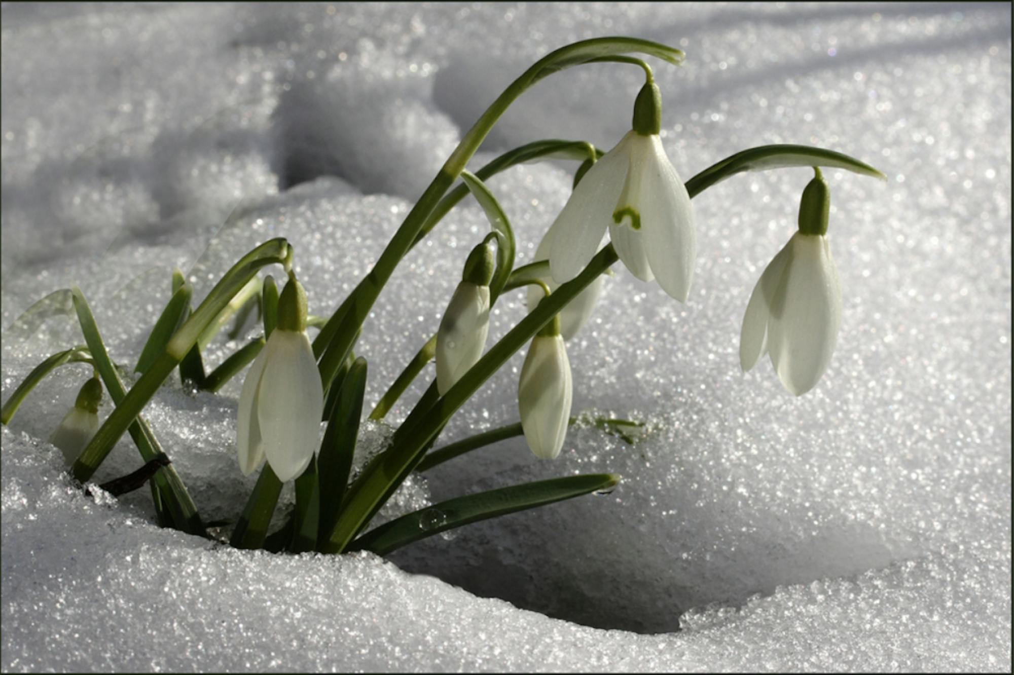 Screen-Shot-2016-02-22-at-11.45.19-AM