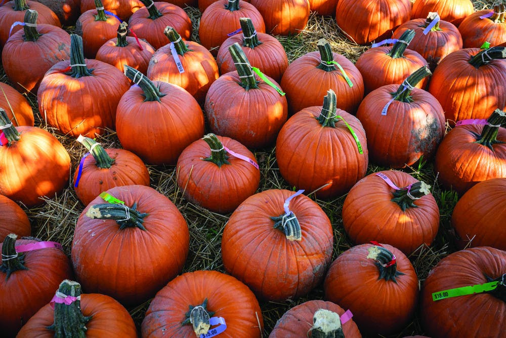 Pg-3-Halloween-Color-by-Ben-Parker-Asst-Editor