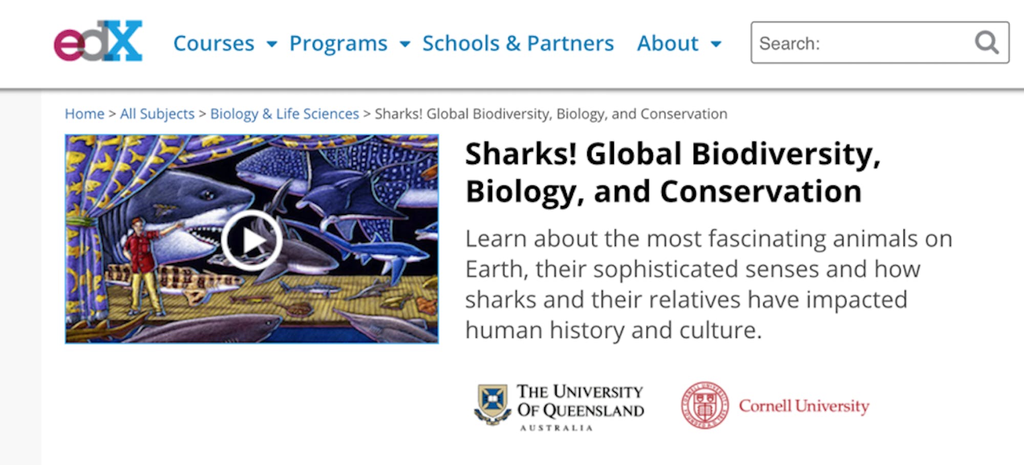 Screen-Shot-2018-03-12-at-9.14.08-PM