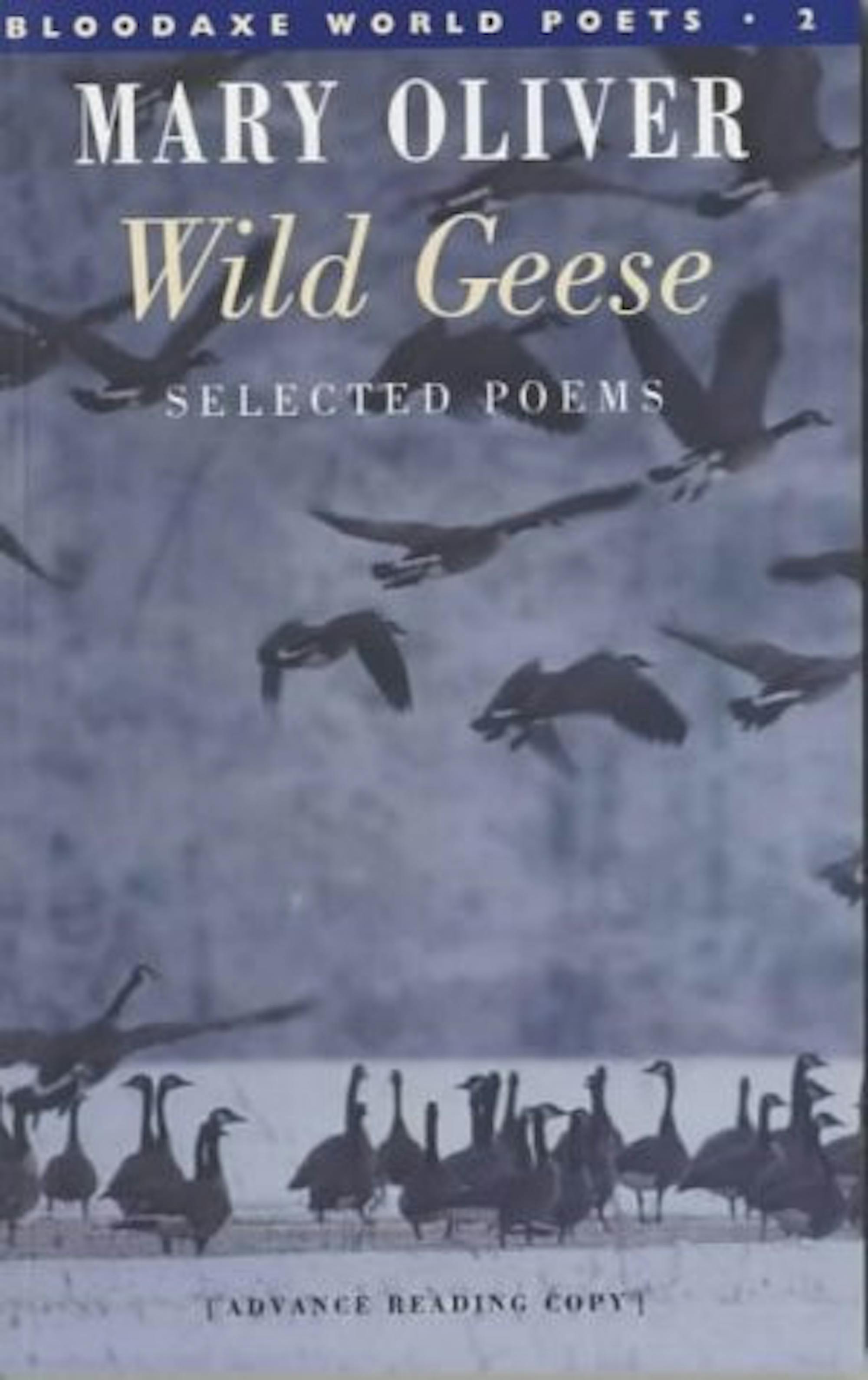 page-7-arts-geese-cover