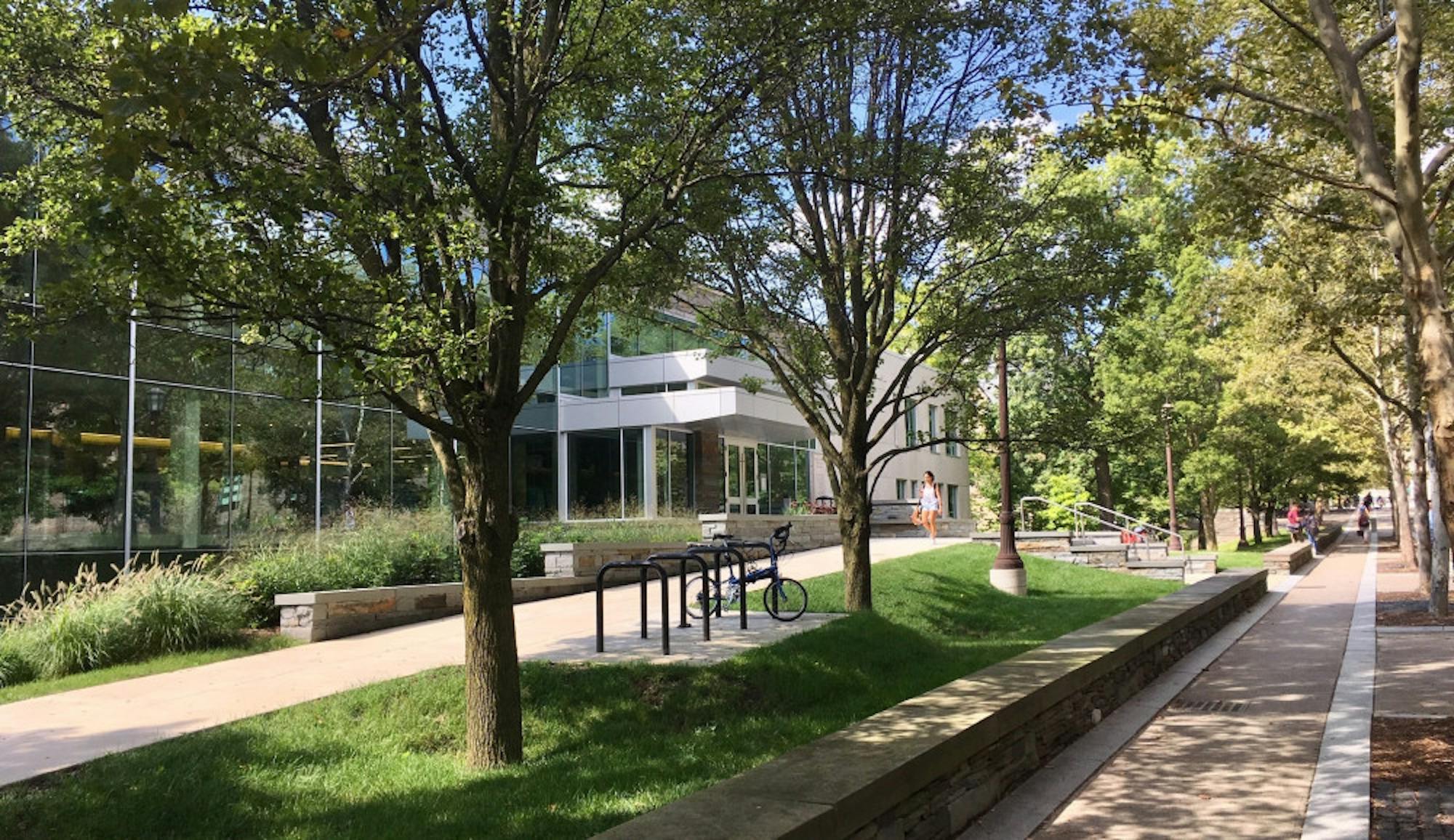 photo-courtesy-of-cornell-health