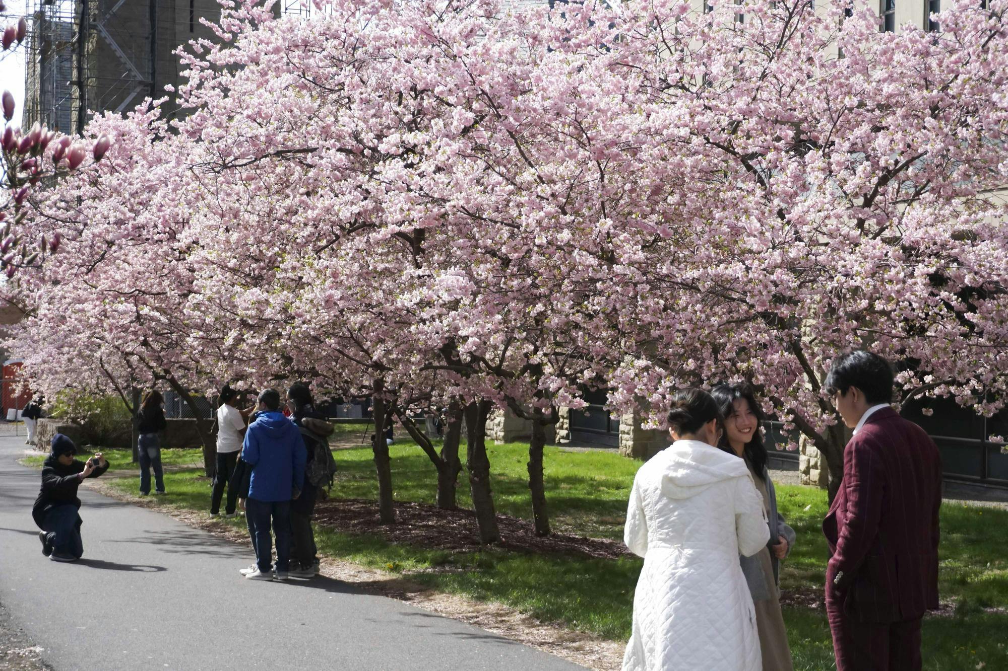 Spring Candids April 2025 by Sophia Romanov Imber-5.jpg