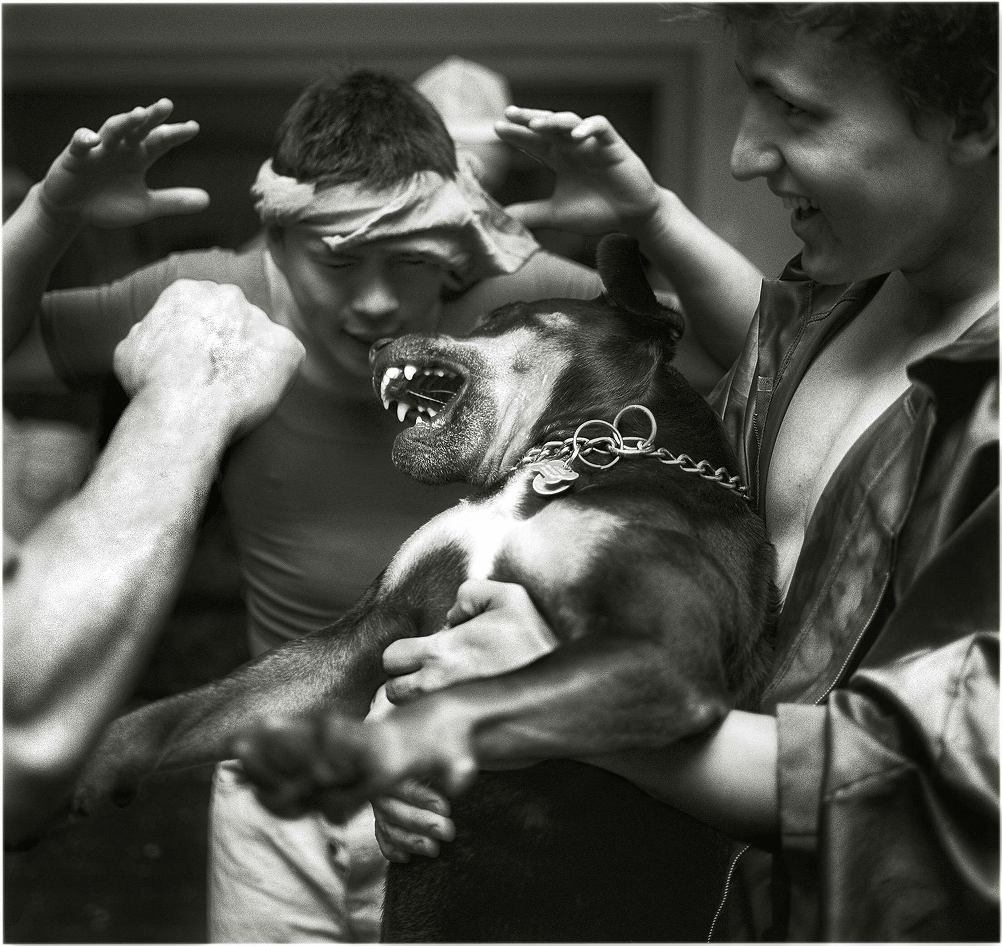 The American Fraternity
