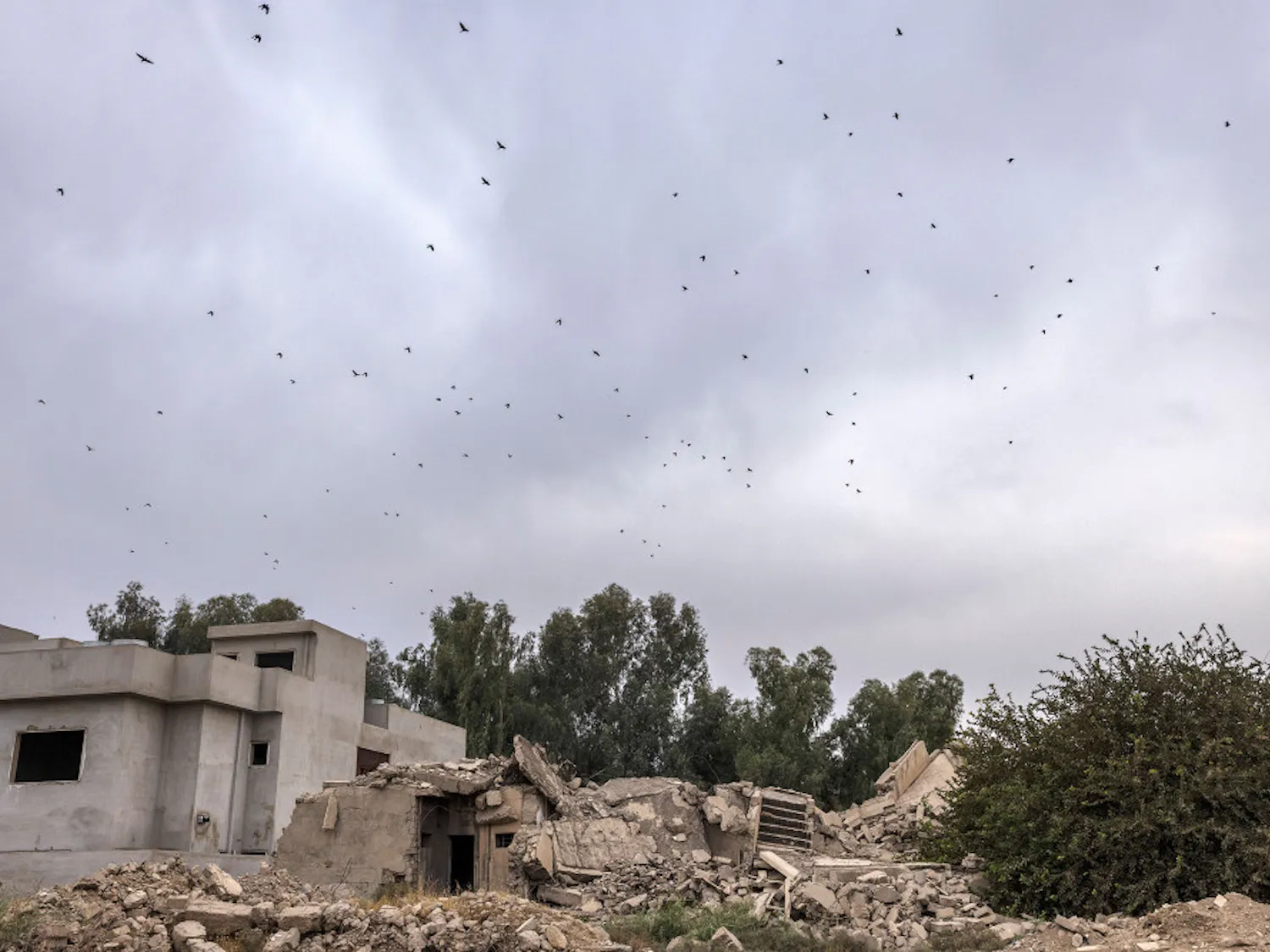 web_Drones-by-Ivor-Prickett