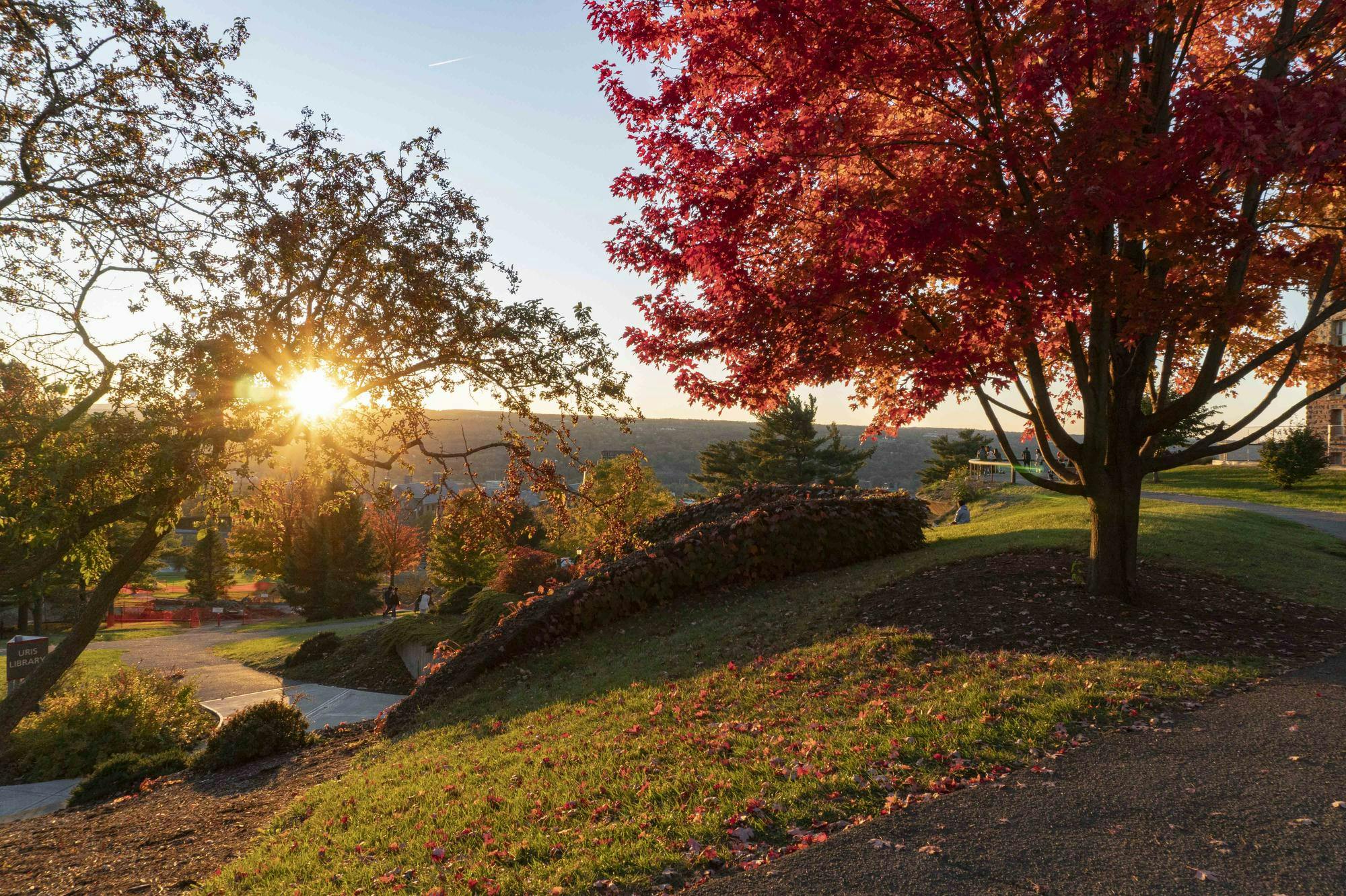 Fall Candids October 2024 - Sophia Romanov Imber-5.jpg