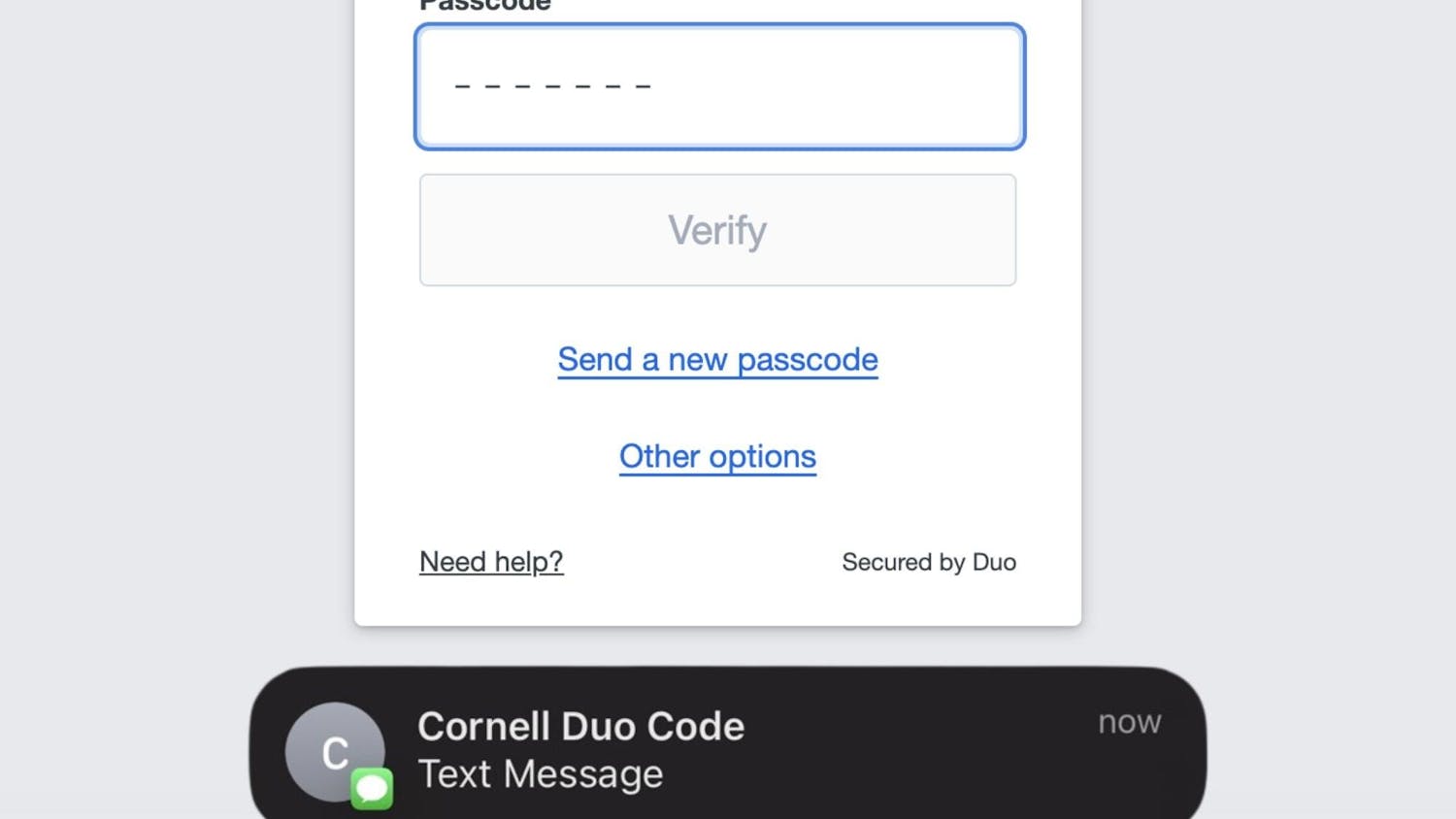 Duo Code and Text