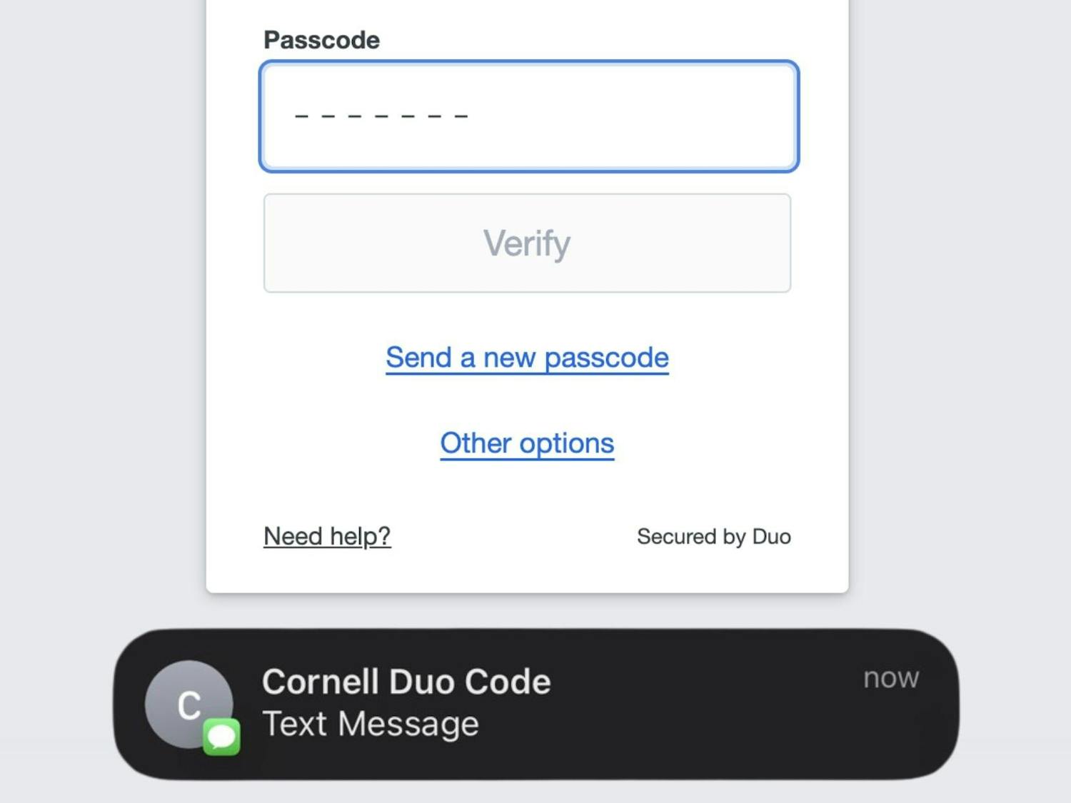 Duo Code and Text