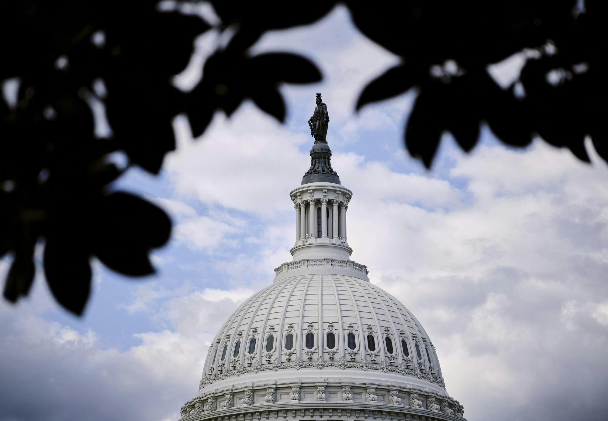 CONGRESS FISCAL 6
