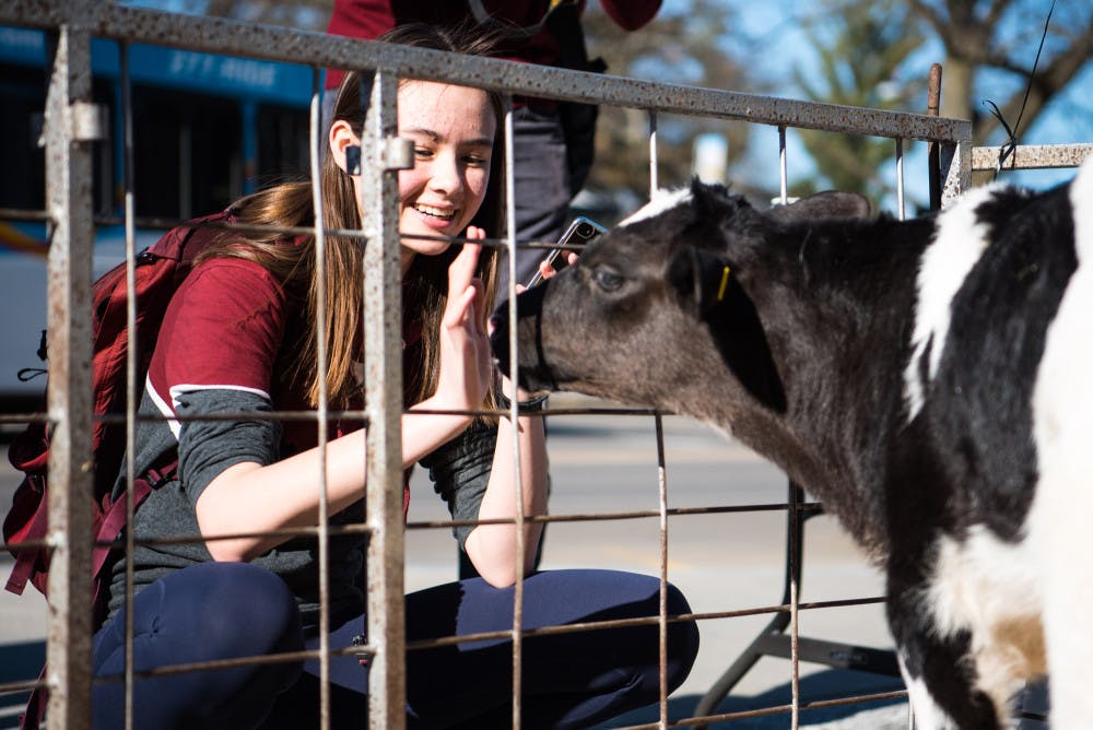 Pg-3-Dairy-Day-by-Boris-Tsang