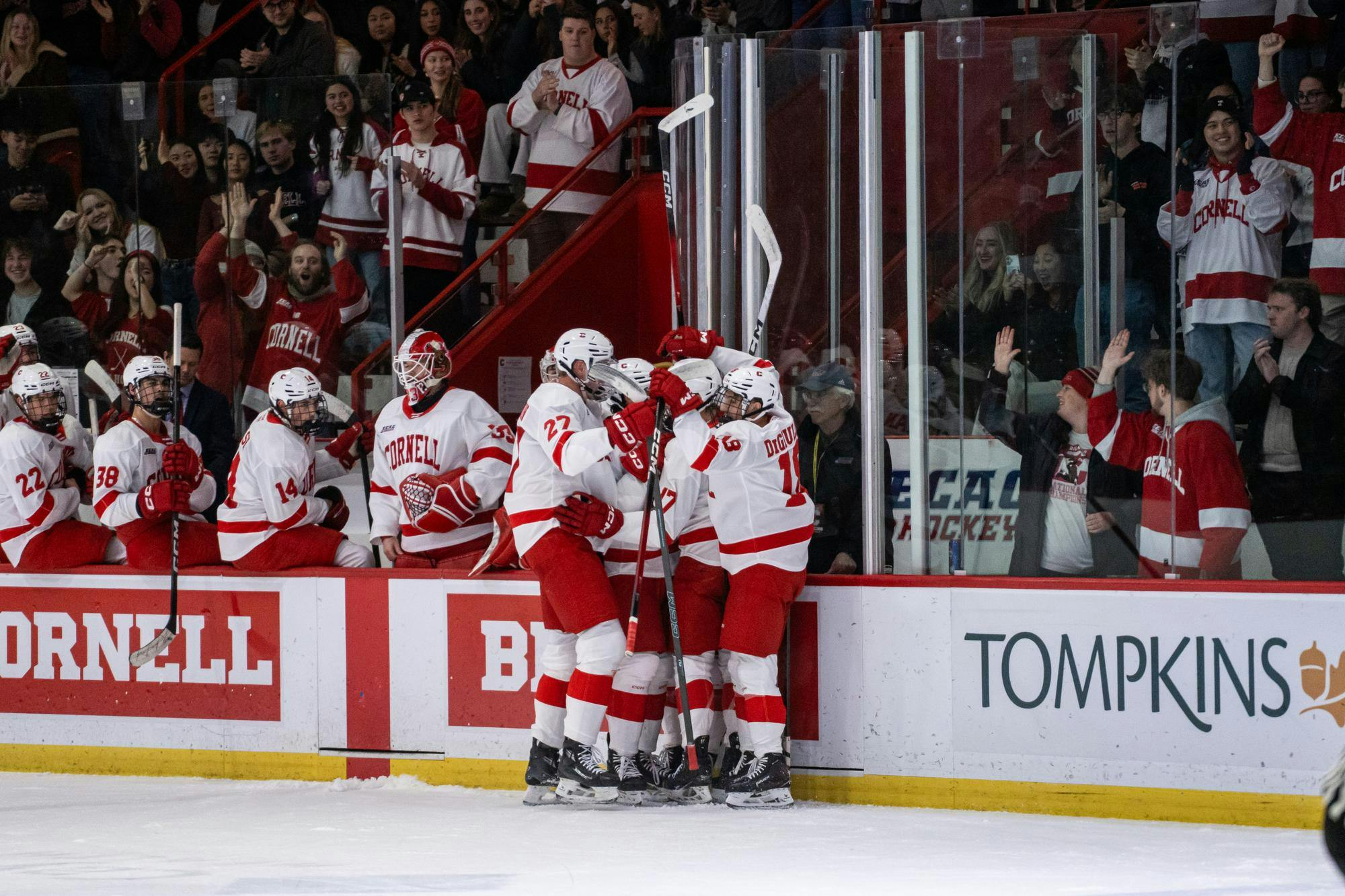 Big Red Mens hockey VS brown-4.jpg