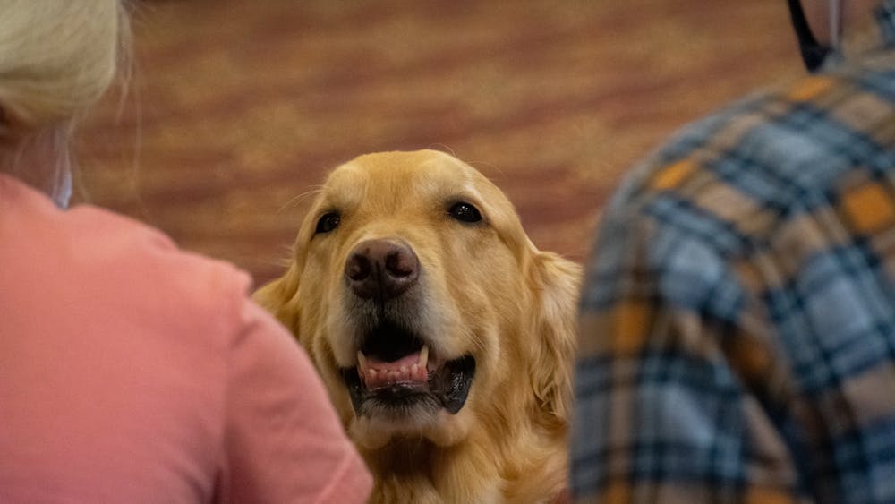 Therapy dogs 2_11-02.jpg