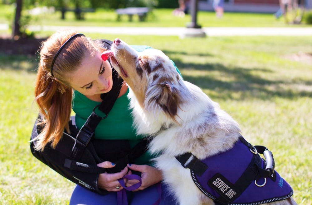 servicedog_eb_03