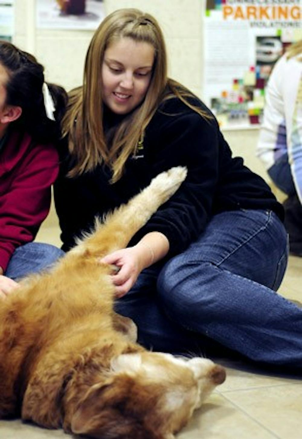 dogtales-pc-041
