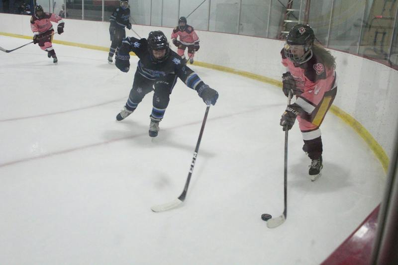 Women's hockey beat blue devils 2-1