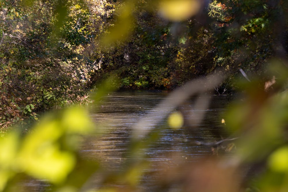 d-islandparkspotnews-photo-10-26-25-3