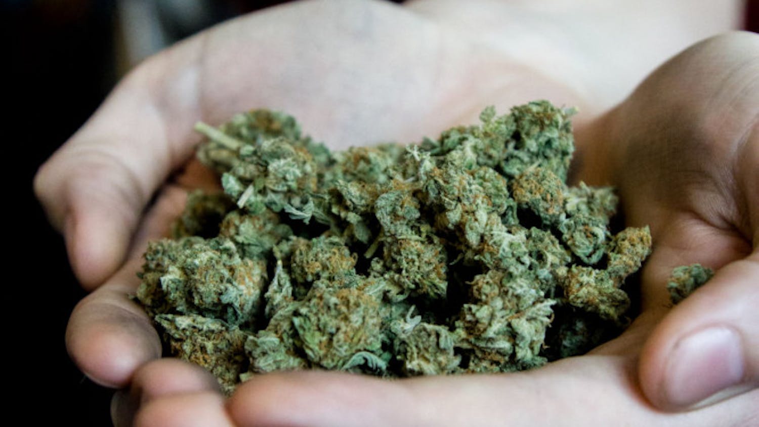 Tennessee lawmakers not budging, despite high national pot acceptance