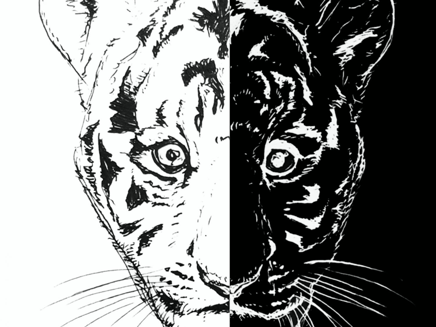 Black and White Tiger