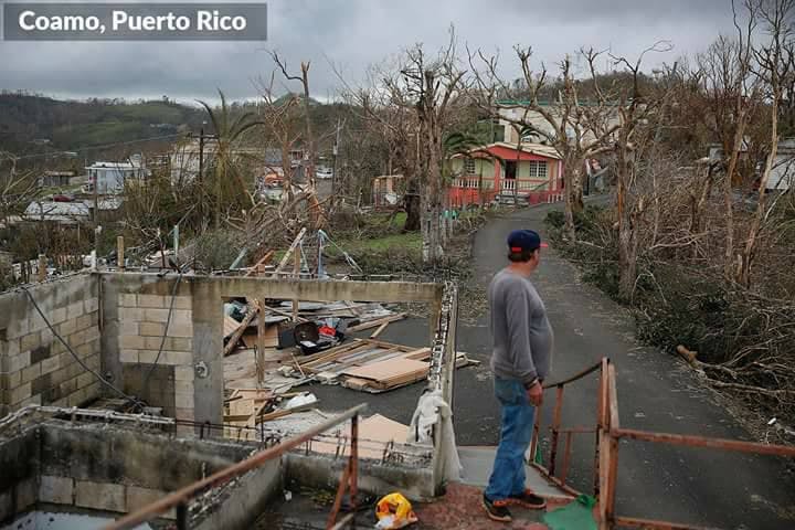 puerto 4 man in road