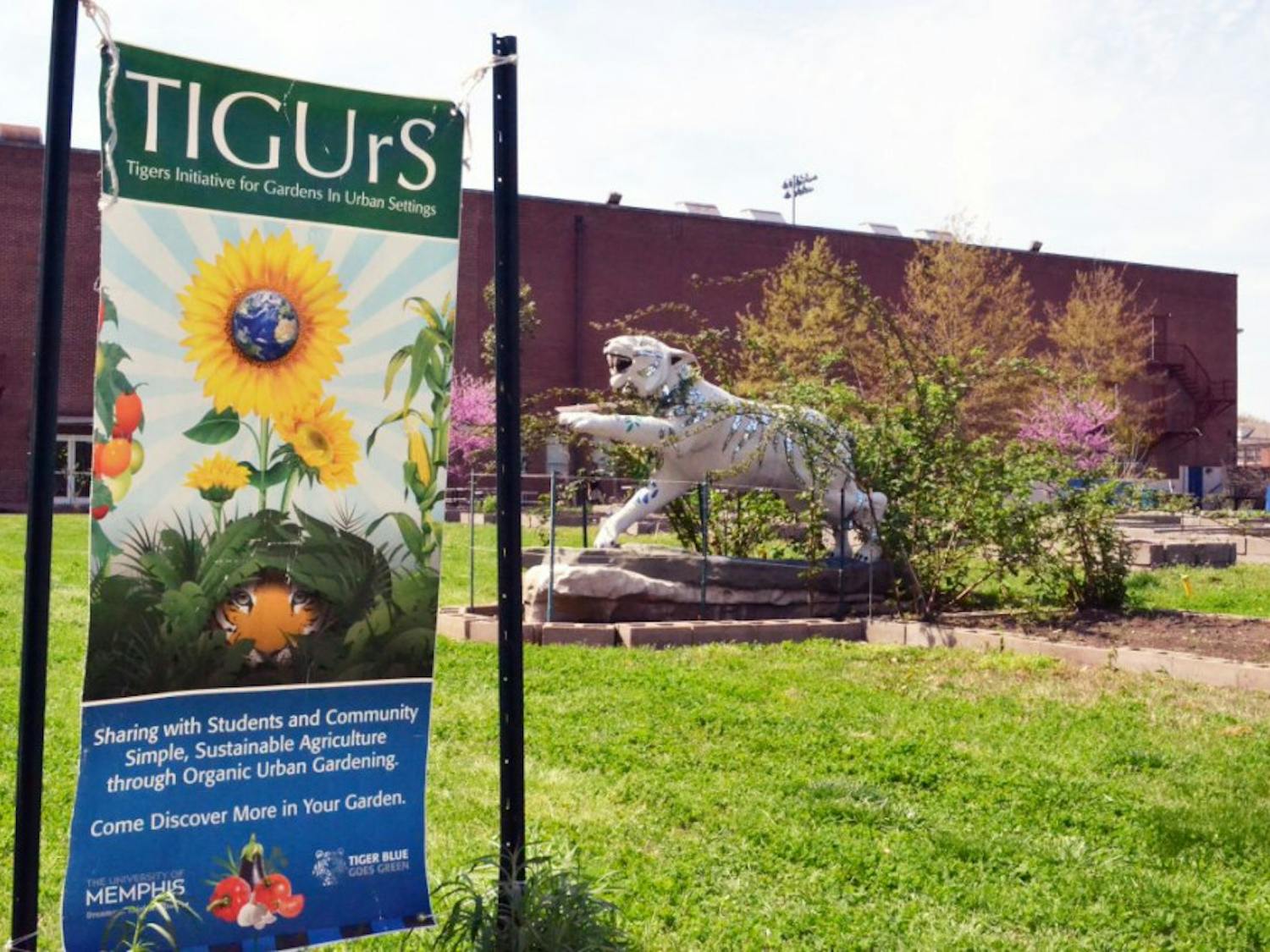 Green Fee Proposal Deadline Friday