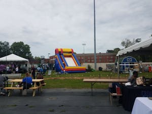 Tigers Garden Anniversary 2