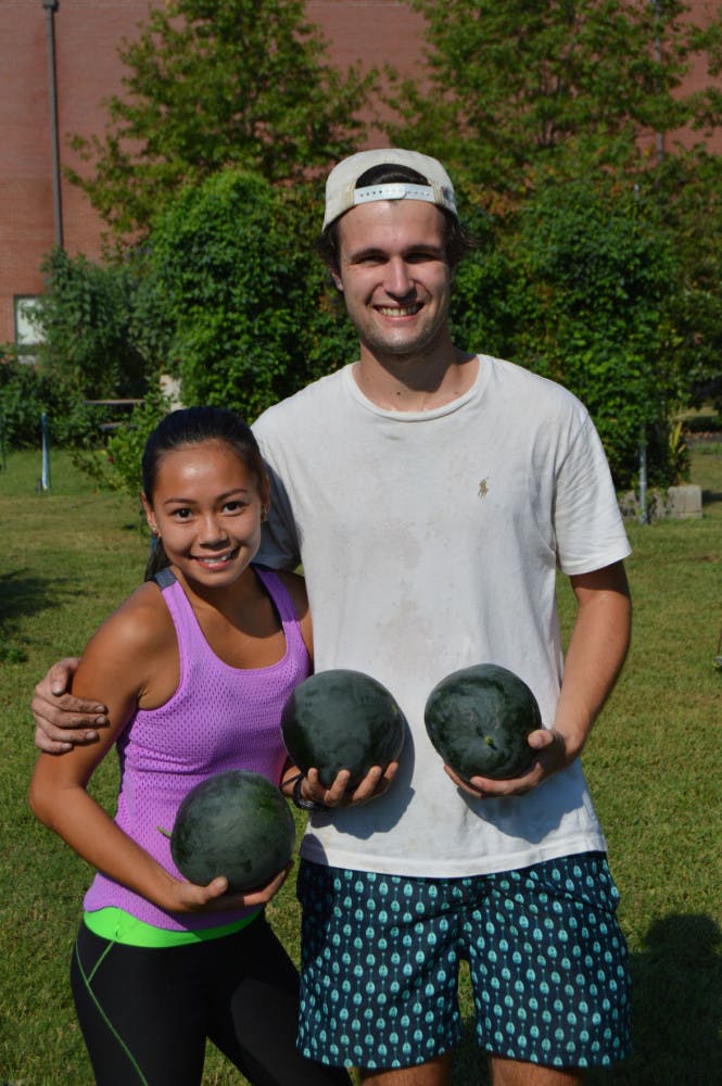 TIGUrS Garden is moving