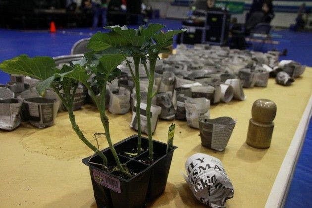 U of M Earth Day event encourages sustainability