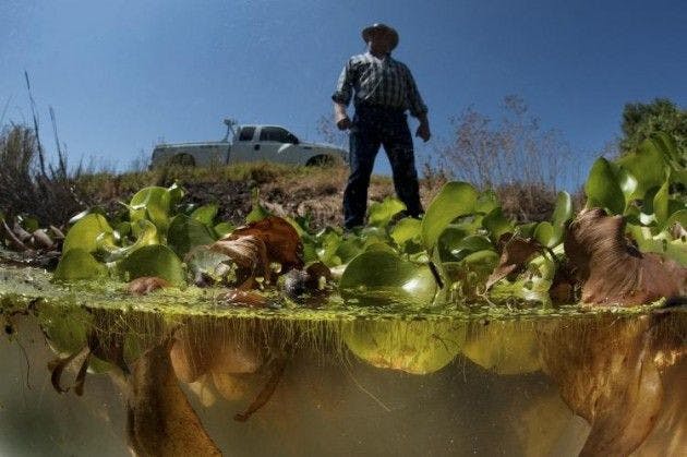 Invader invited to defend Delta