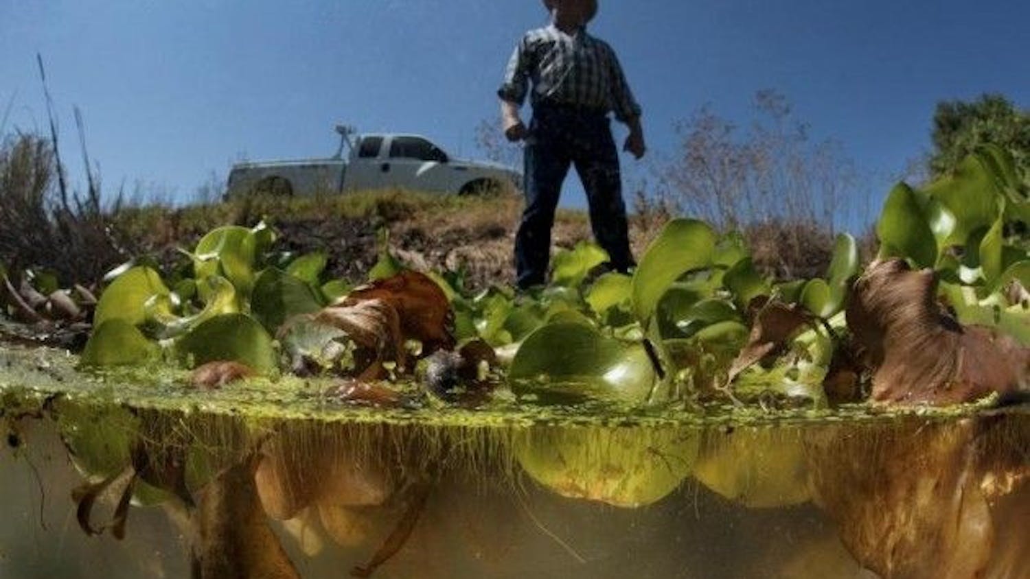 Invader invited to defend Delta