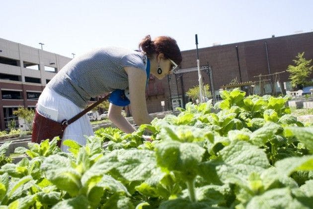 Veg out at Spring Planting Day