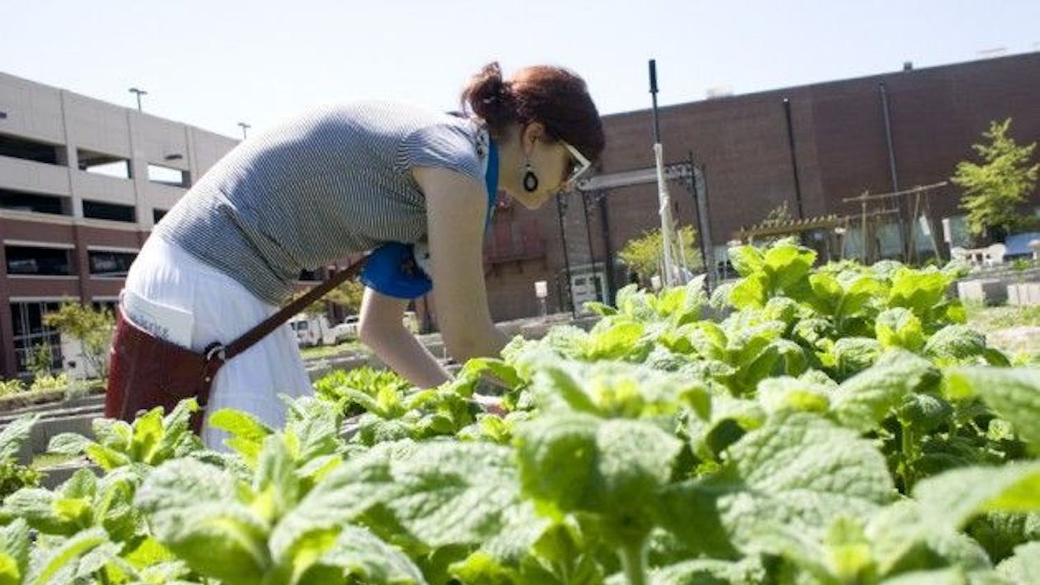 Veg out at Spring Planting Day