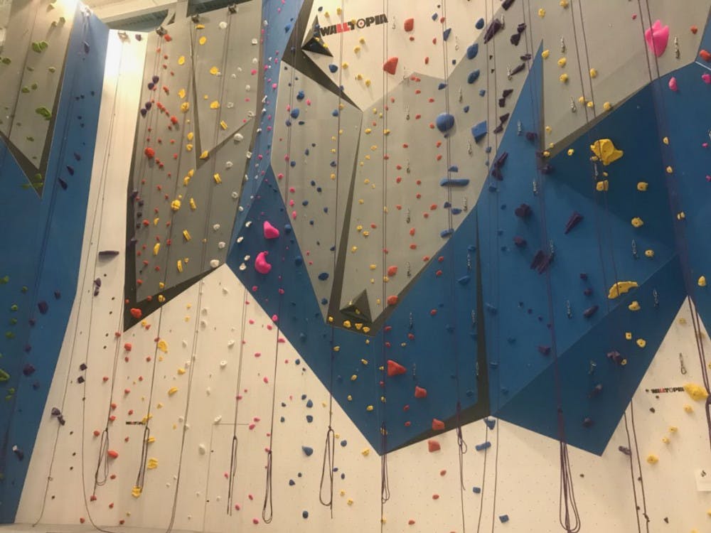 <p>Rock-climbing facility Memphis Rox will open with no economic barriers to the Memphis community on April 3. The idea for the facility came when founder Tom Shadyac wanted to bring art, education and mentorship to Memphis.</p>
