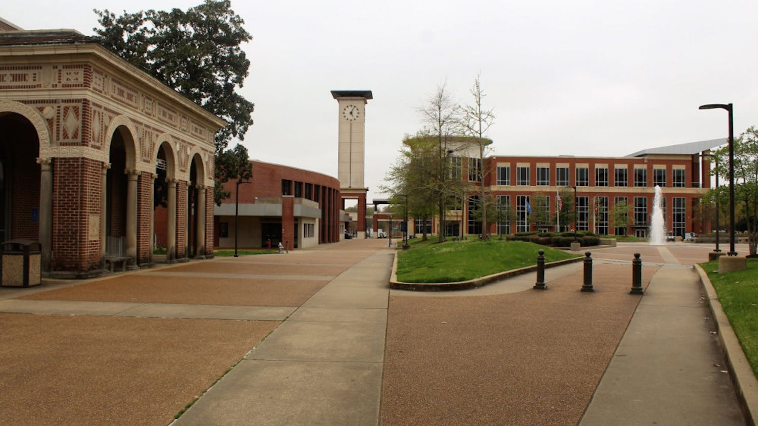 Pic for wellness break