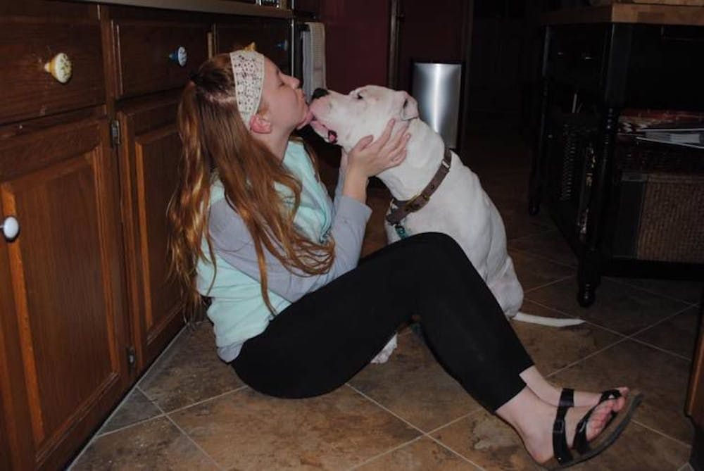 <p><strong>Bailey Hart plays with her pit bull Brody, who suffered major trauma and abuse before he was rescued by the Streetdog Foundation.</strong></p>