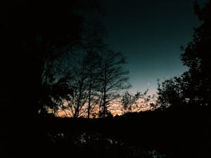 Sunset forest black