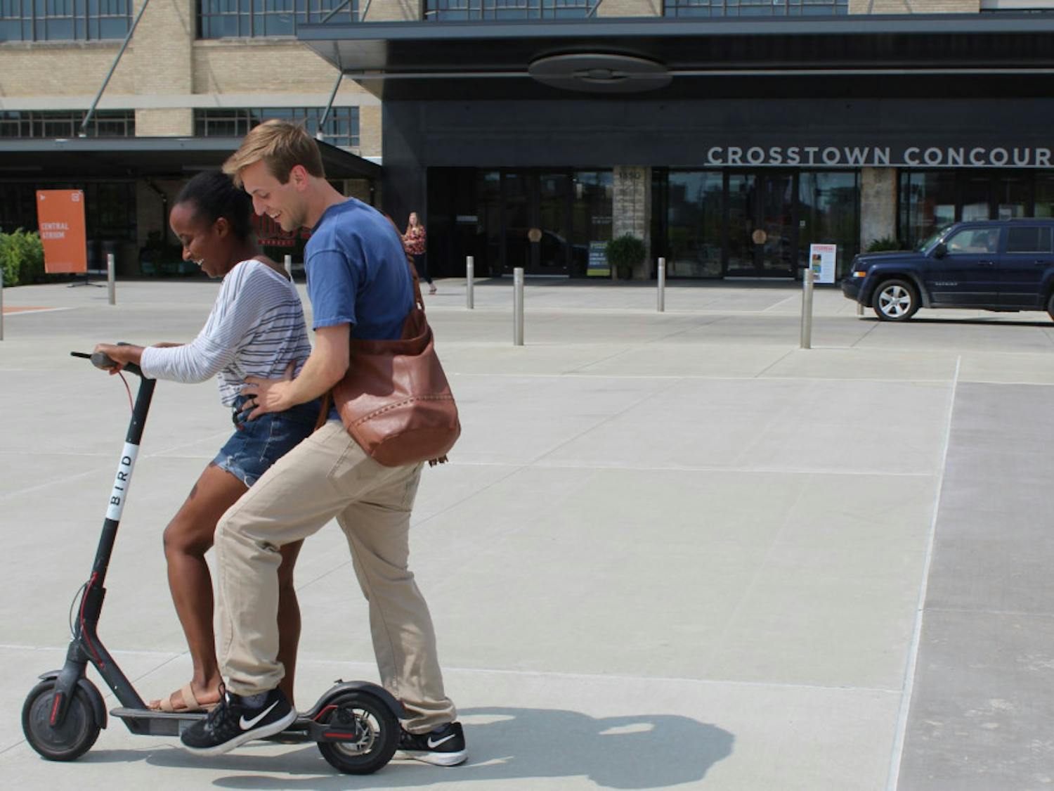 Bird and Explore Rides 1