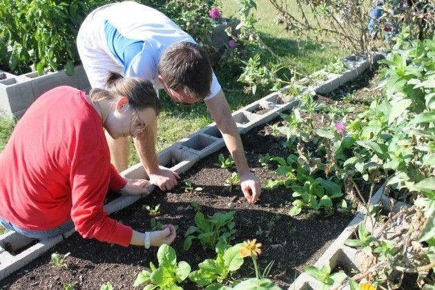 TIGUrS host seminar for community garden