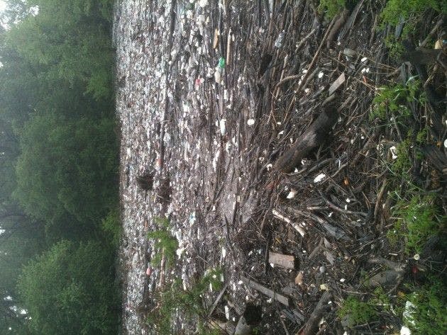 Taking out the trash